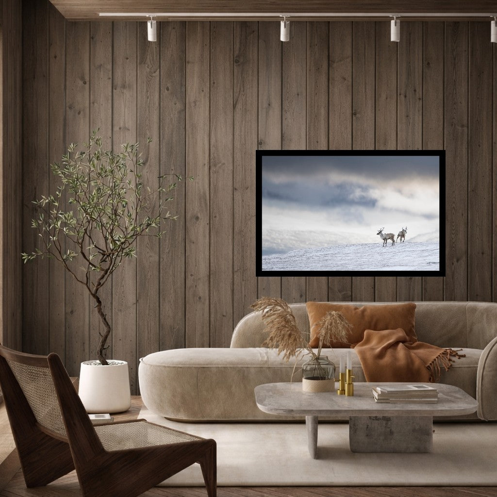 Forsmak på vinteren