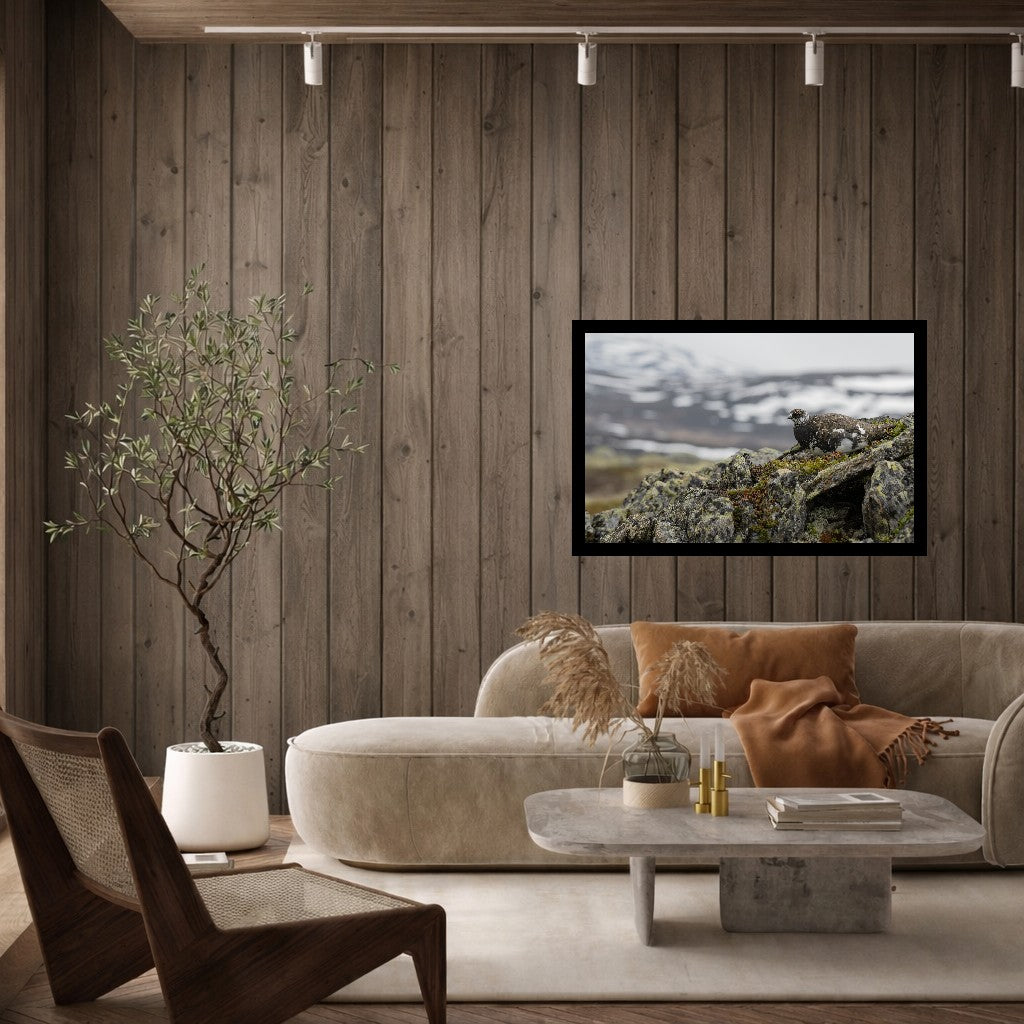 Hvilende fjellrypestegg