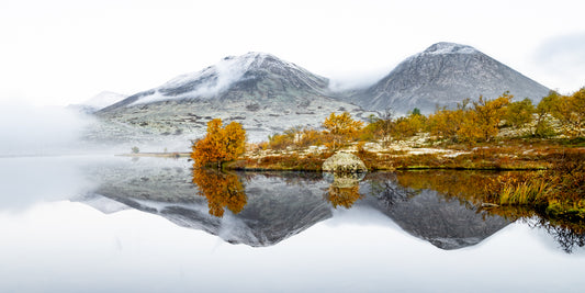 Stygghøin i Rondane