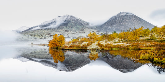 Stygghøin i Rondane