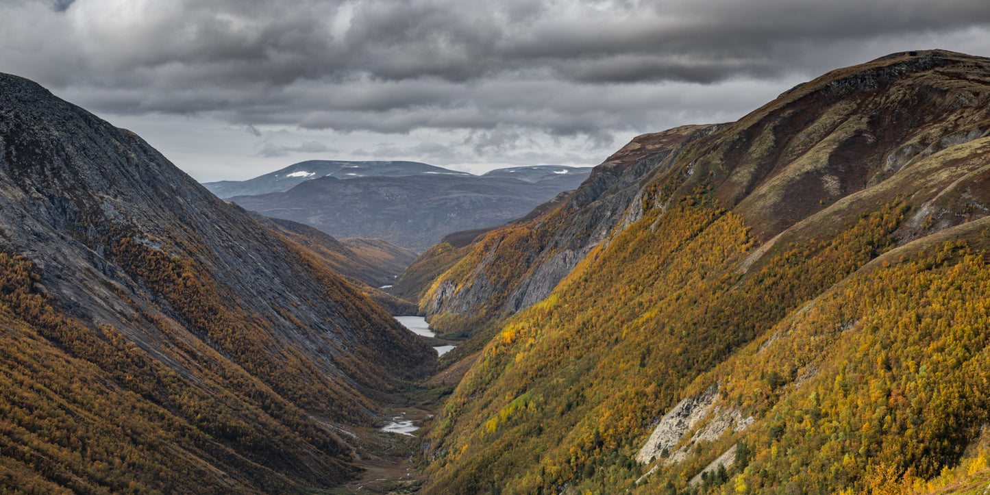 Øyadalen